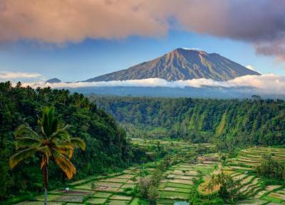 بهترین زمان سفر به بالی ؛ شهر آتشفشان های پوشیده شده از جنگل در اندونزی