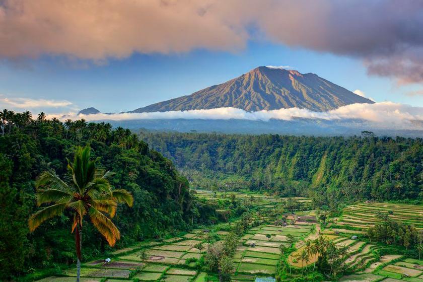 بهترین زمان سفر به بالی ؛ شهر آتشفشان های پوشیده شده از جنگل در اندونزی