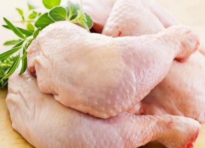 کارگر: بازار گوشت مرغ با عرضه مرغ منجمد تنظیم می شود ، قیمت تخم مرغ کاهش می یابد