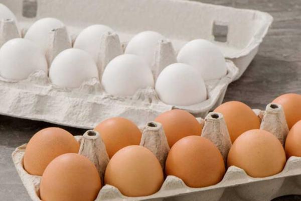 چگونه از آلودگی تخم مرغ جلوگیری کنیم