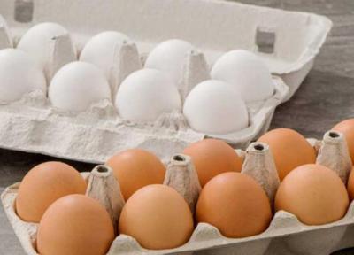 چگونه از آلودگی تخم مرغ جلوگیری کنیم