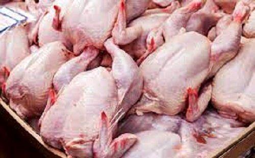 قیمت مرغ باز هم افزایش پیدا می نماید؟