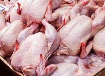 قیمت مرغ باز هم افزایش پیدا می نماید؟