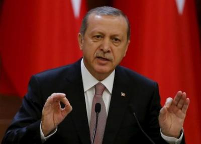 اردوغان: آمریکا از گروه های تروریستی ضدترکیه حمایت لجستیکی می نماید، روابط مصر و ترکیه قوی و تاریخی است