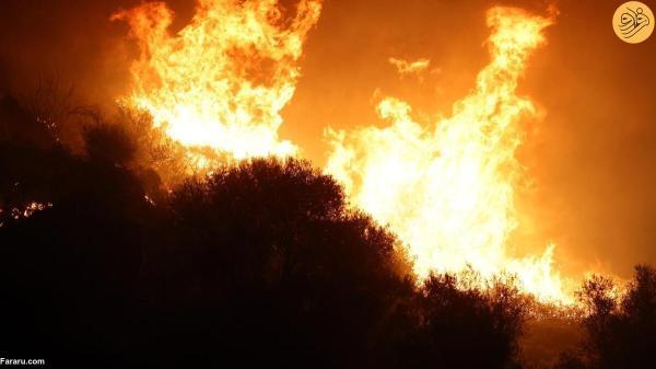 آتش سوزی جنگلی در جزیره سیسیل ایتالیا