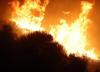 آتش سوزی جنگلی در جزیره سیسیل ایتالیا